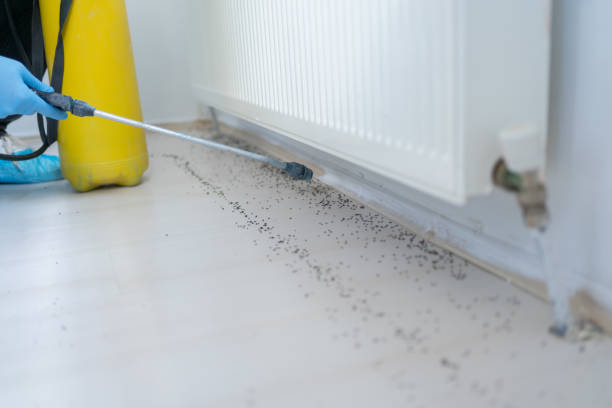 Best Wildlife Control Services  in Maryvle, IL